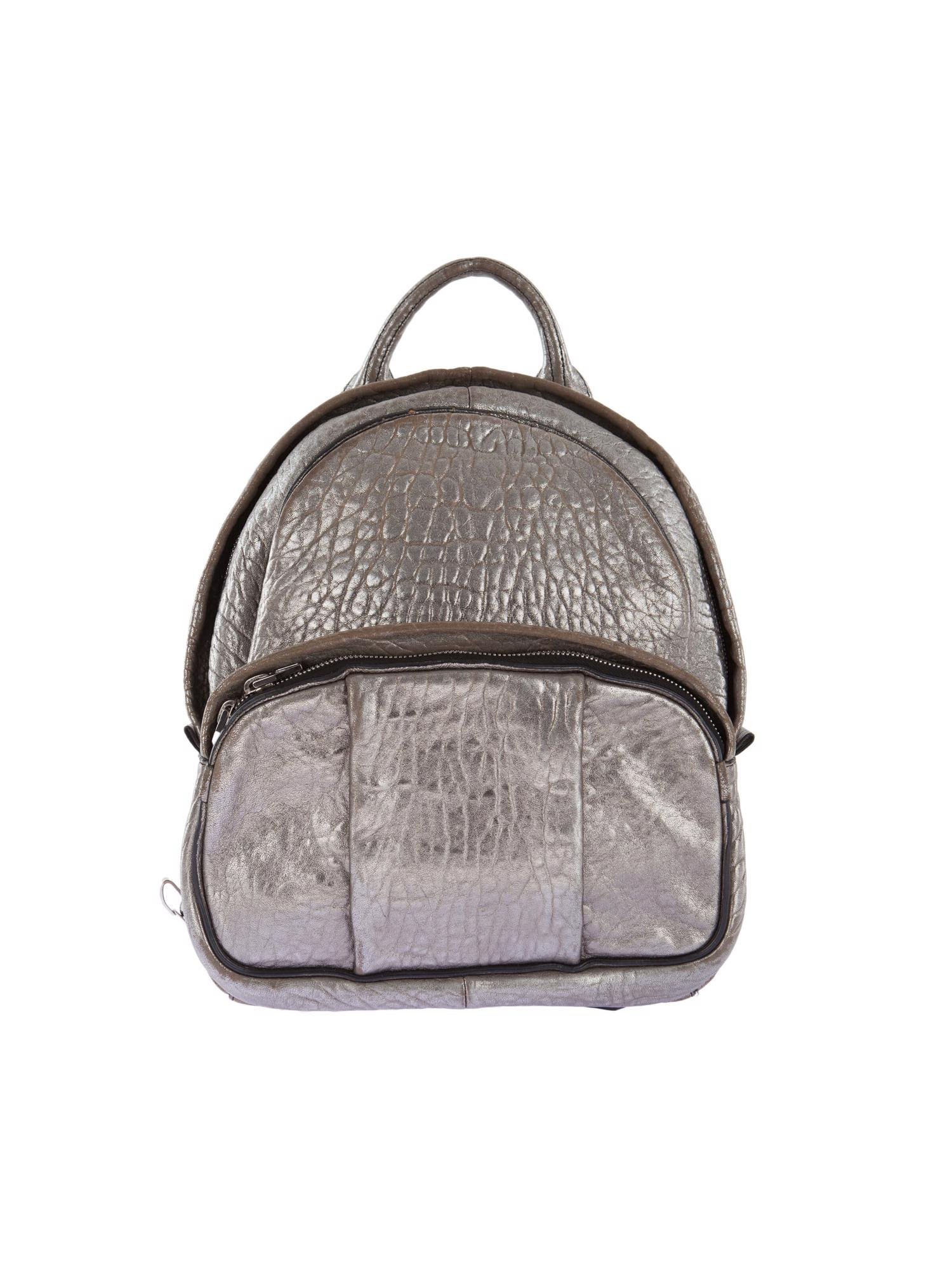 Bayan Gümüş ALEXANDER WANG ÇANTA