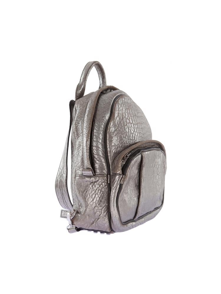 Bayan Gümüş ALEXANDER WANG ÇANTA