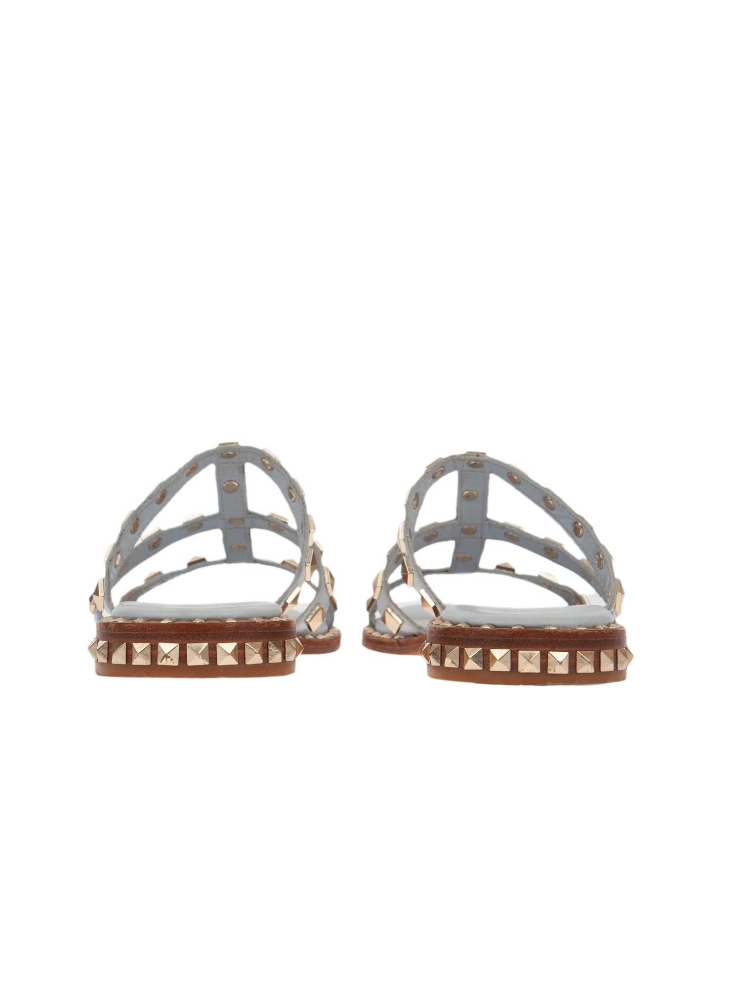 Bayan Mavi ASH TERLİK