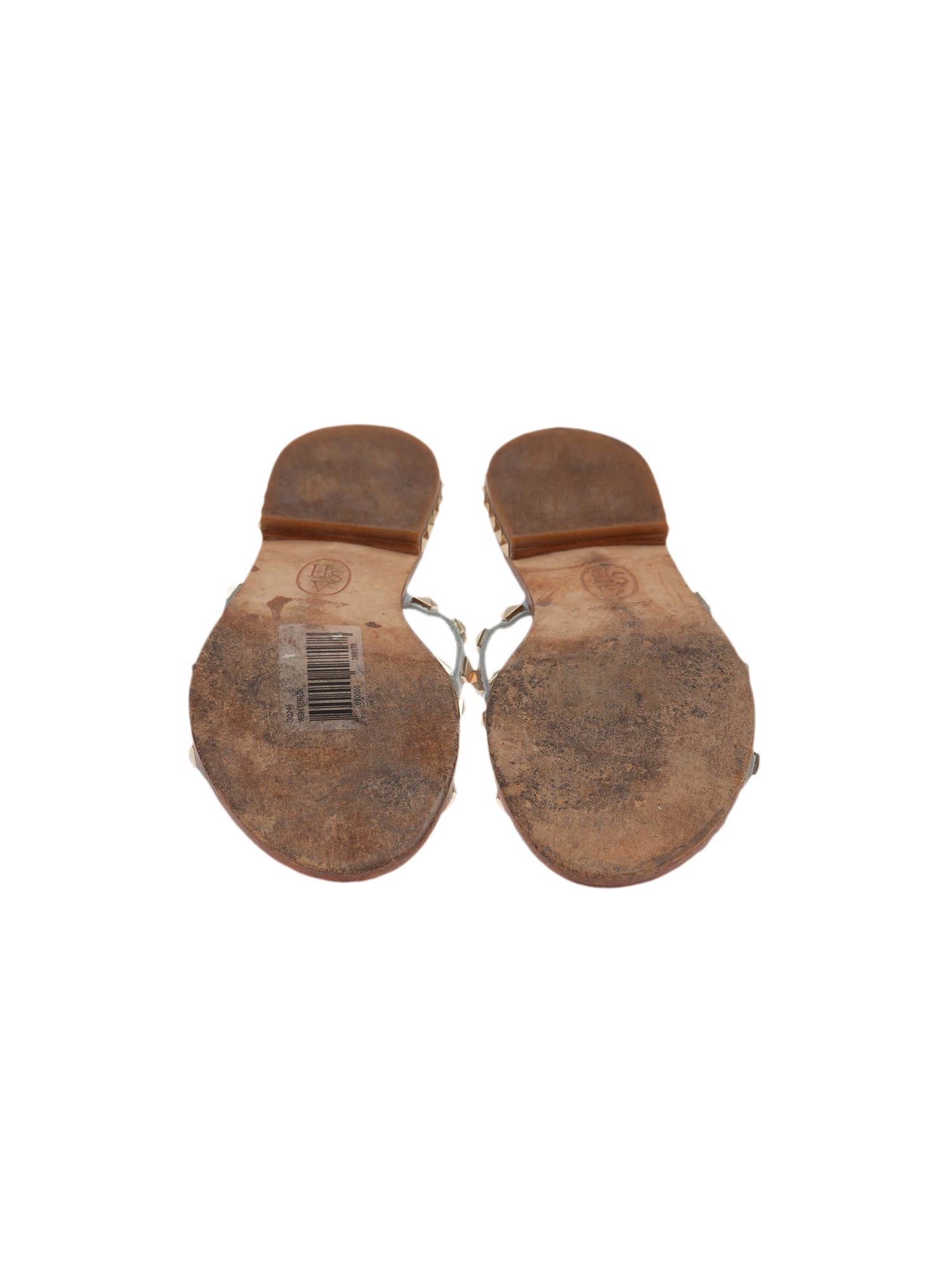 Bayan Mavi ASH TERLİK