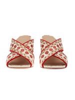 Bayan Krem ASH TERLİK