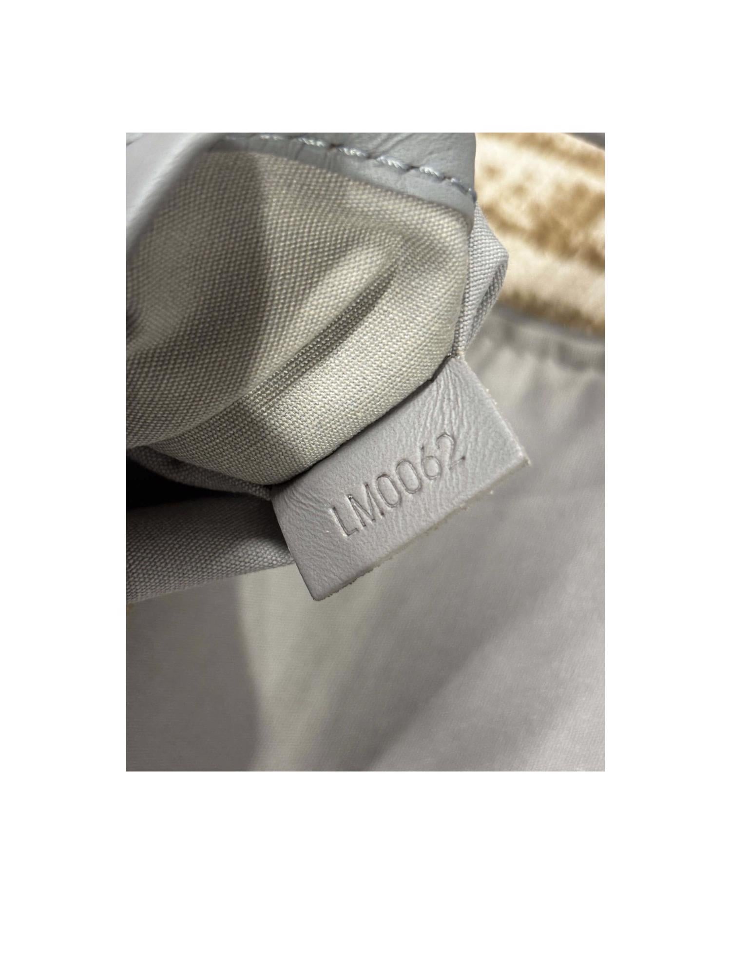 Bayan Gri LOUIS VUITTON ÇANTA