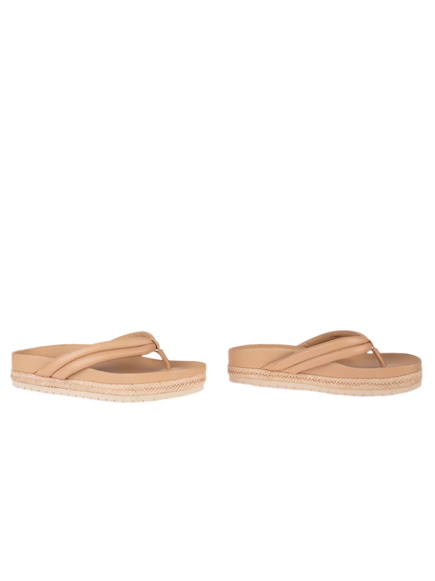 Bayan Bej VINCE TERLİK