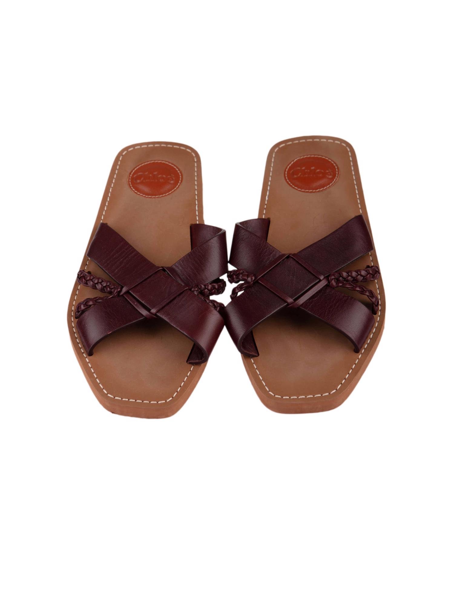 Bayan Kırmızı CHLOE TERLİK