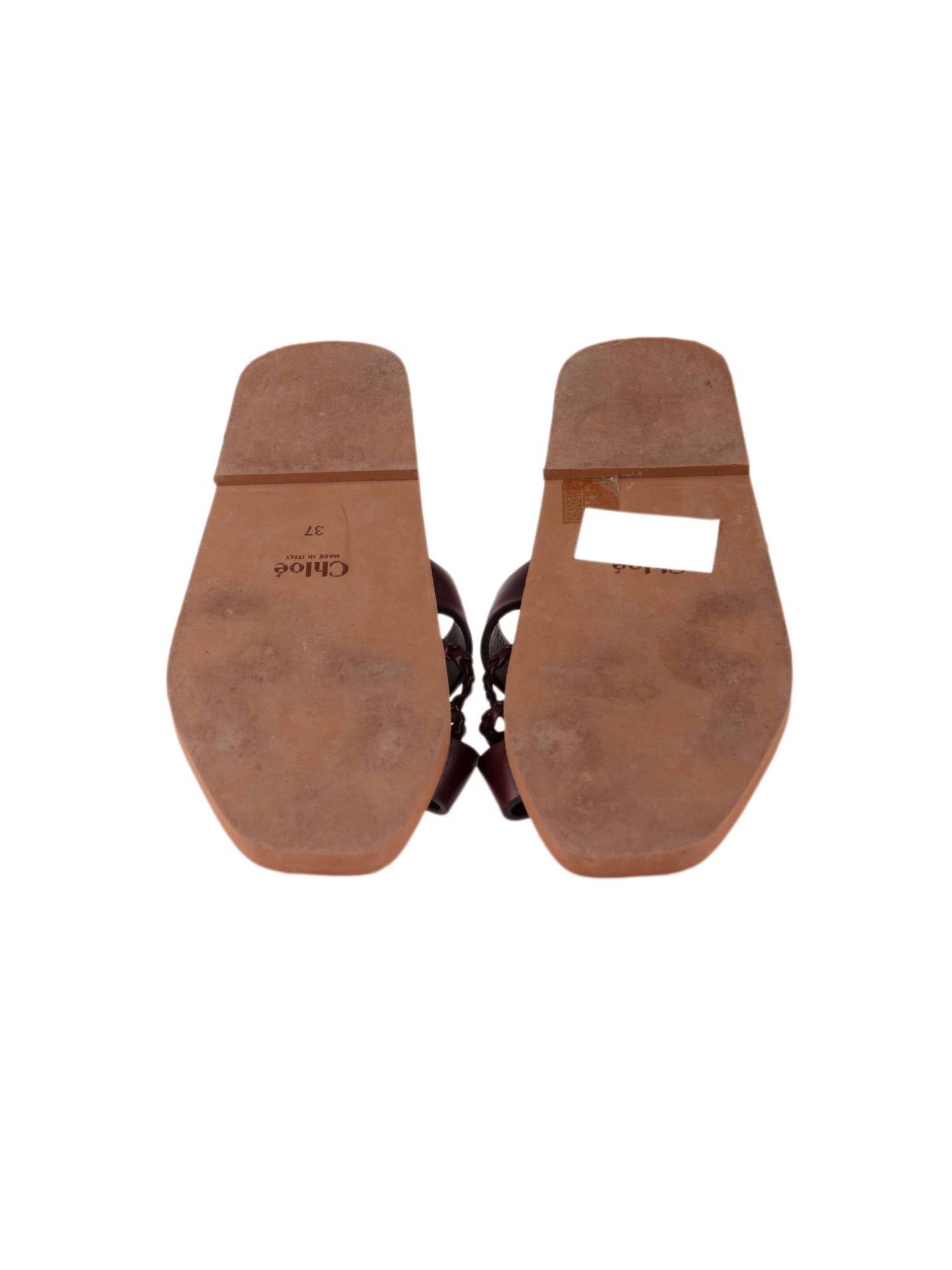 Bayan Kırmızı CHLOE TERLİK