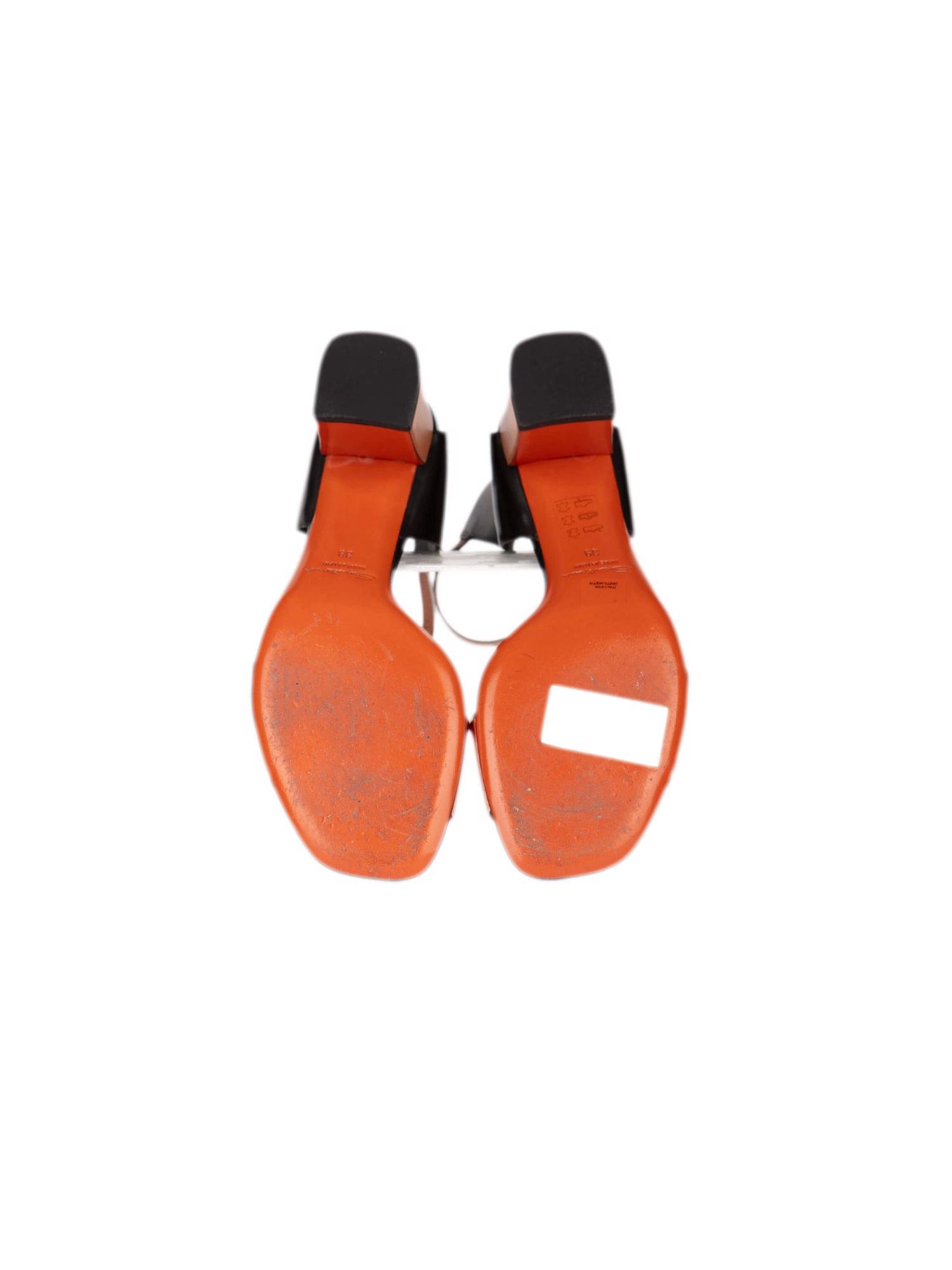 Bayan Bakır SANTONI AYAKKABI