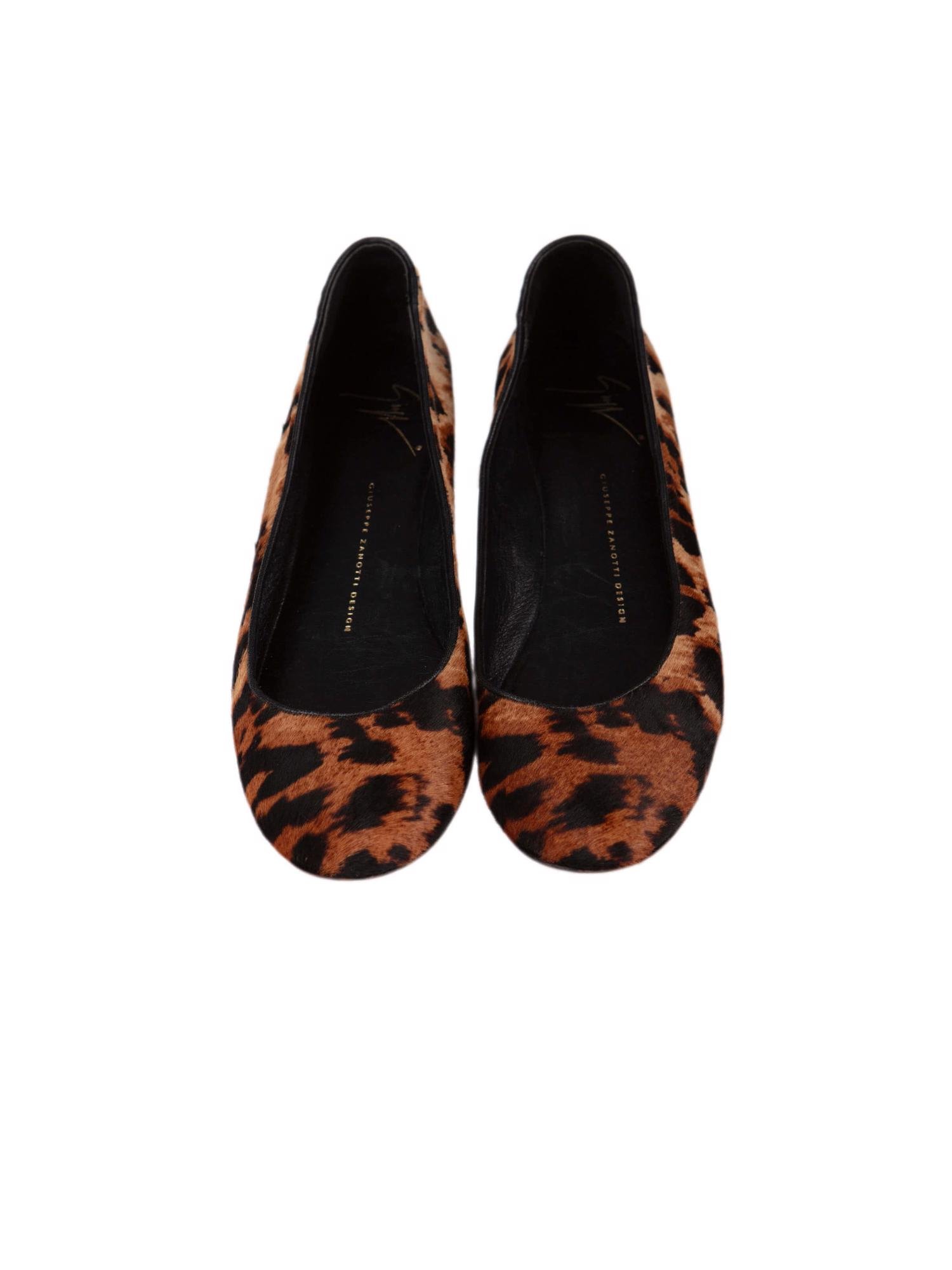 Bayan Bej GIUSEPPE ZANOTTI BABET