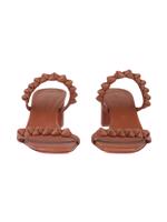 Bayan Kahve SANTONI TERLİK