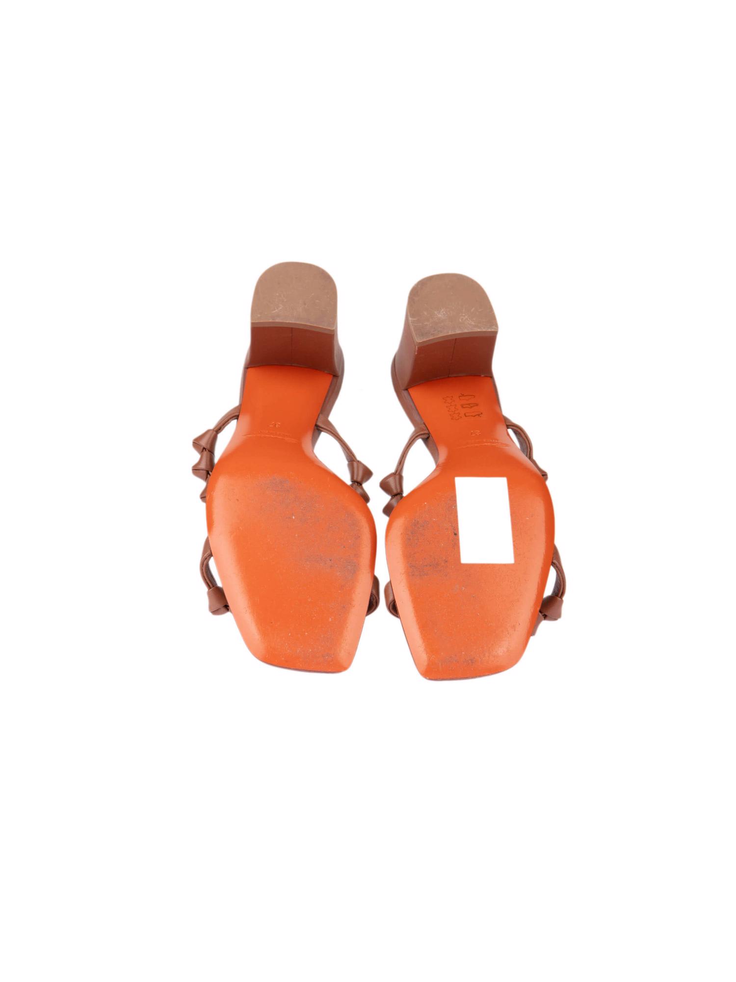 Bayan Kahve SANTONI TERLİK