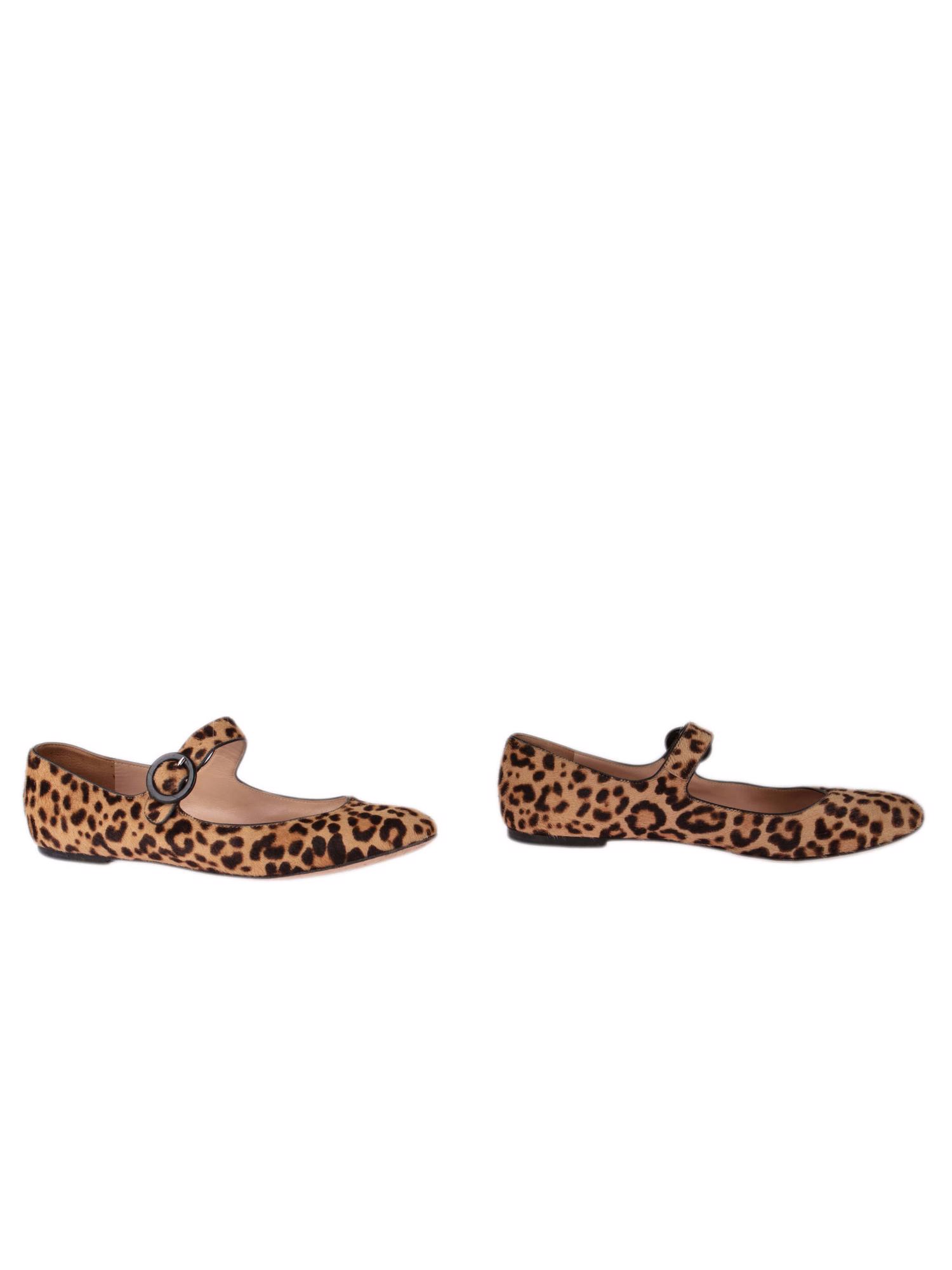 Bayan Bej GIANVITO ROSSI BABET