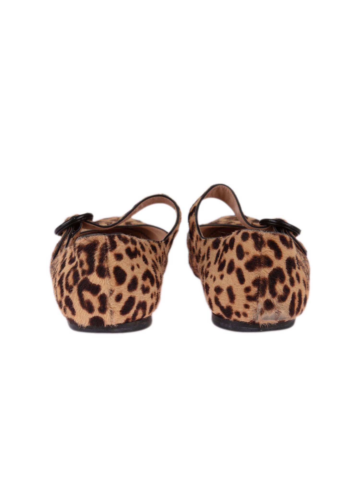 Bayan Bej GIANVITO ROSSI BABET