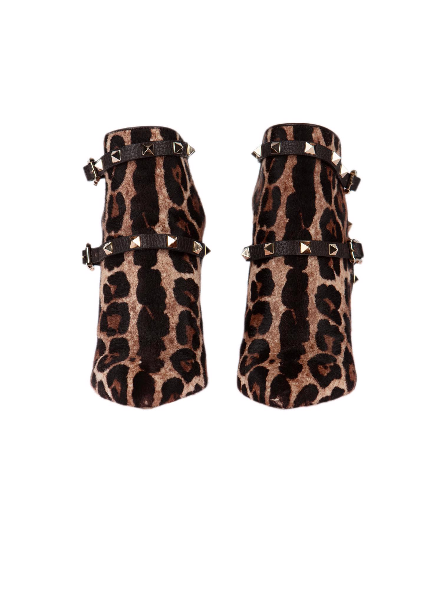 Bayan Bej VALENTINO BOT