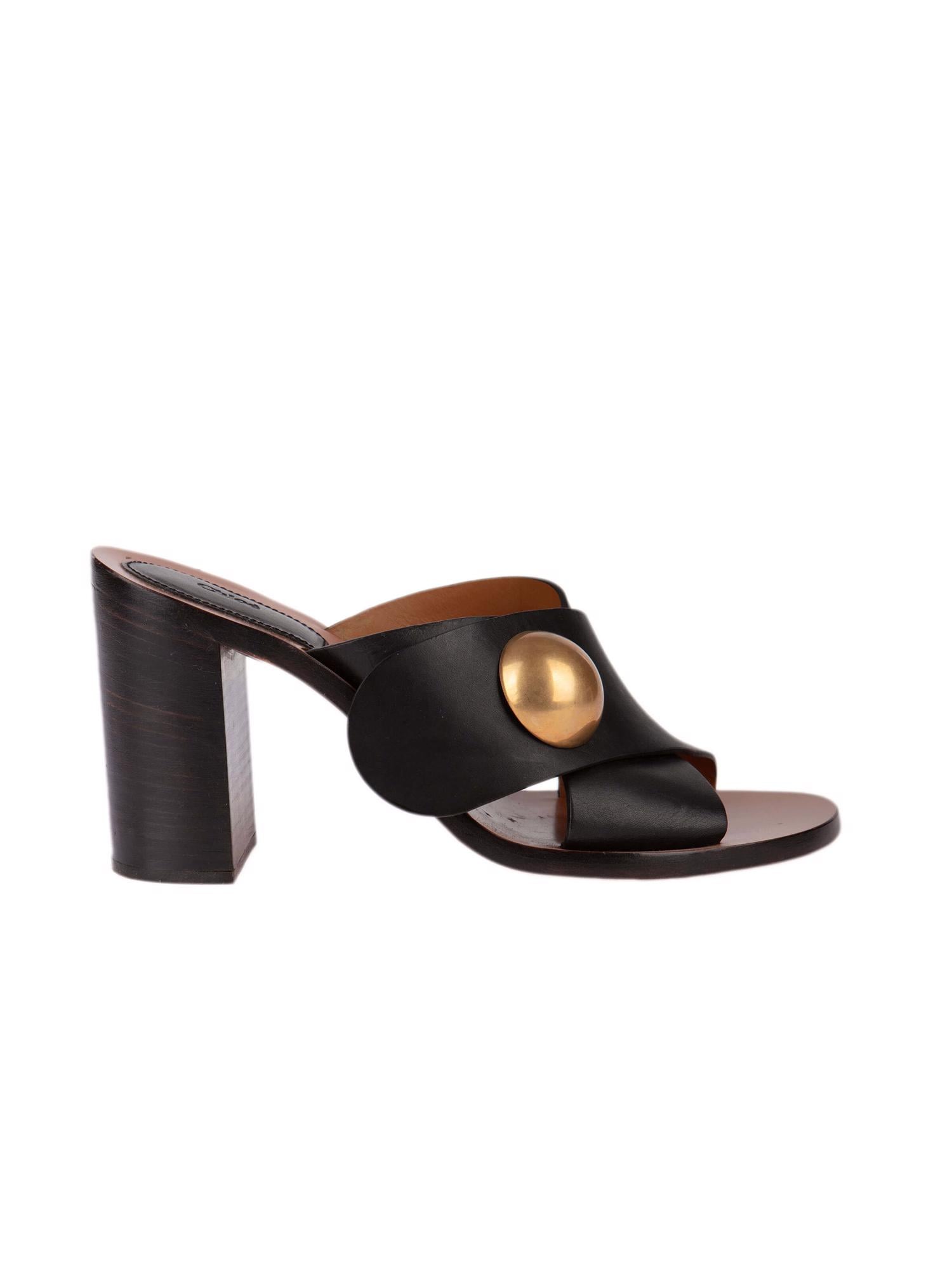 Bayan Siyah CHLOE TERLİK