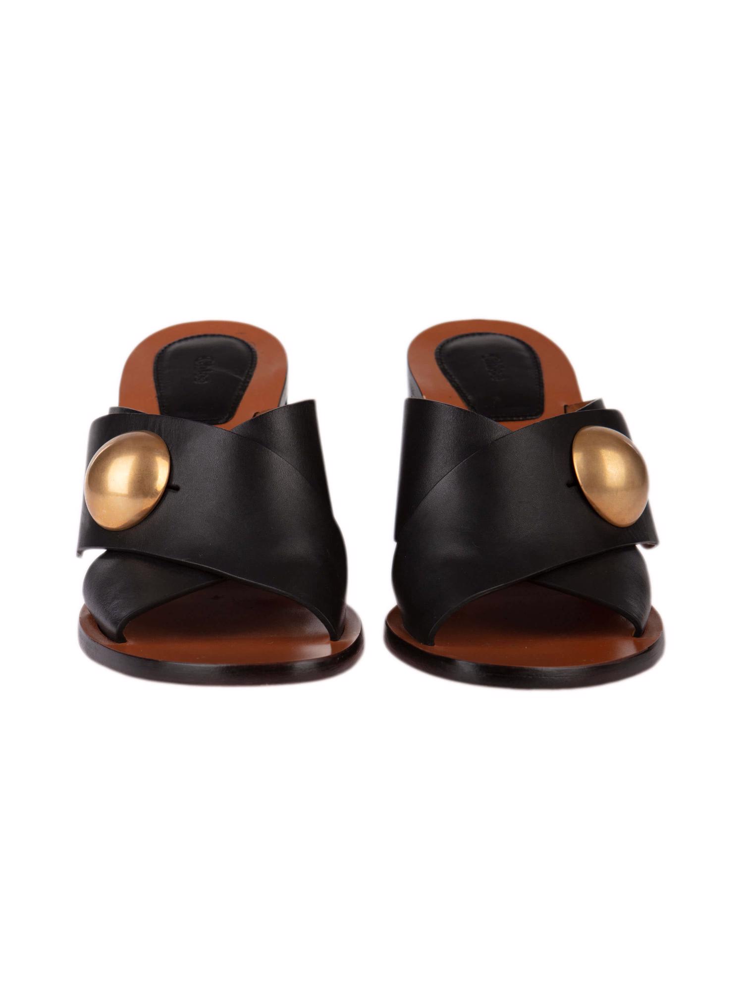 Bayan Siyah CHLOE TERLİK