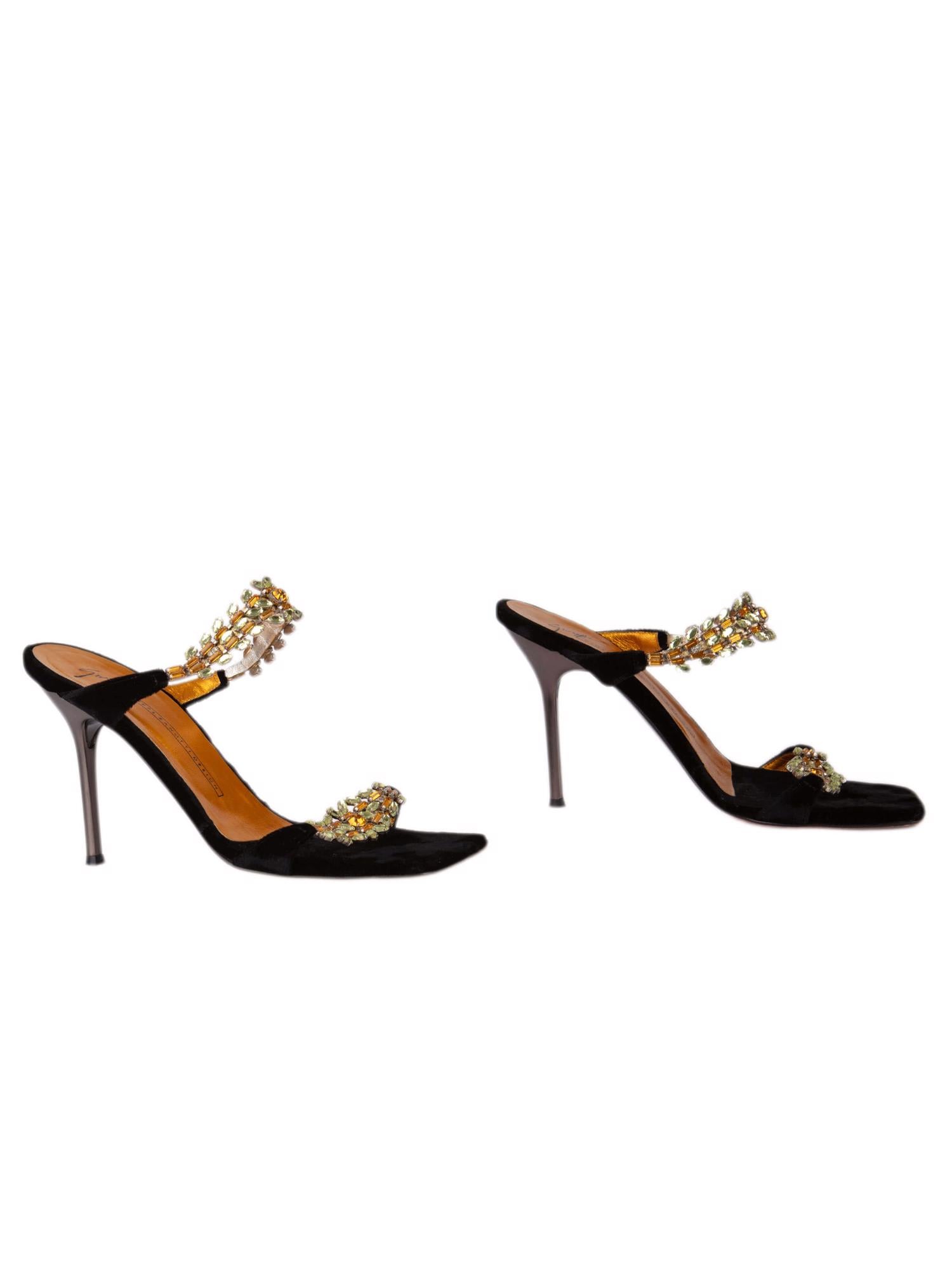 Bayan Siyah GIUSEPPE ZANOTTI TERLİK