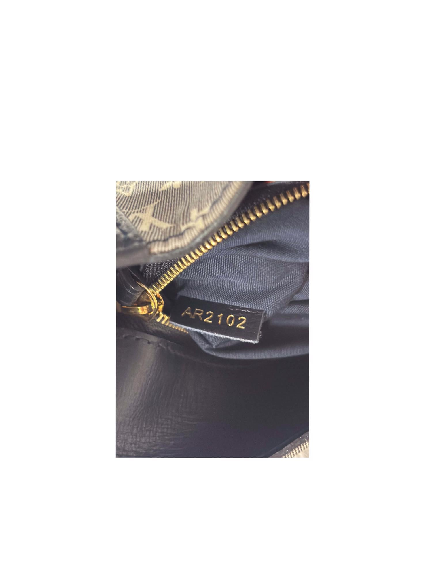 Bayan Gri LOUIS VUITTON ÇANTA