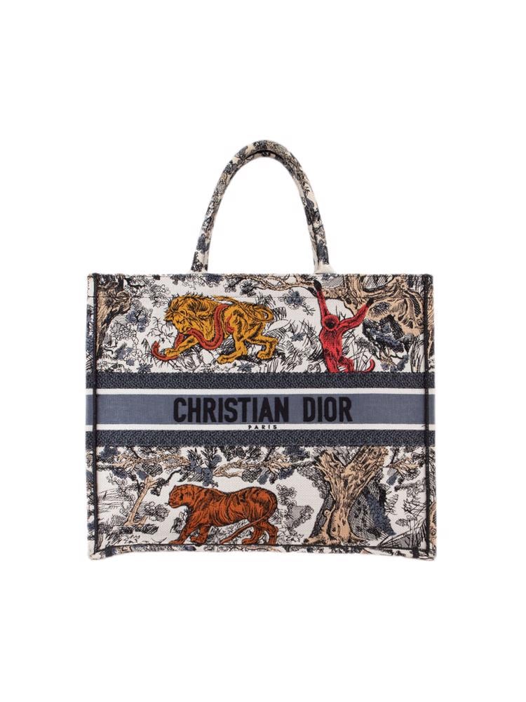 Bayan Çok Renkli DIOR ÇANTA