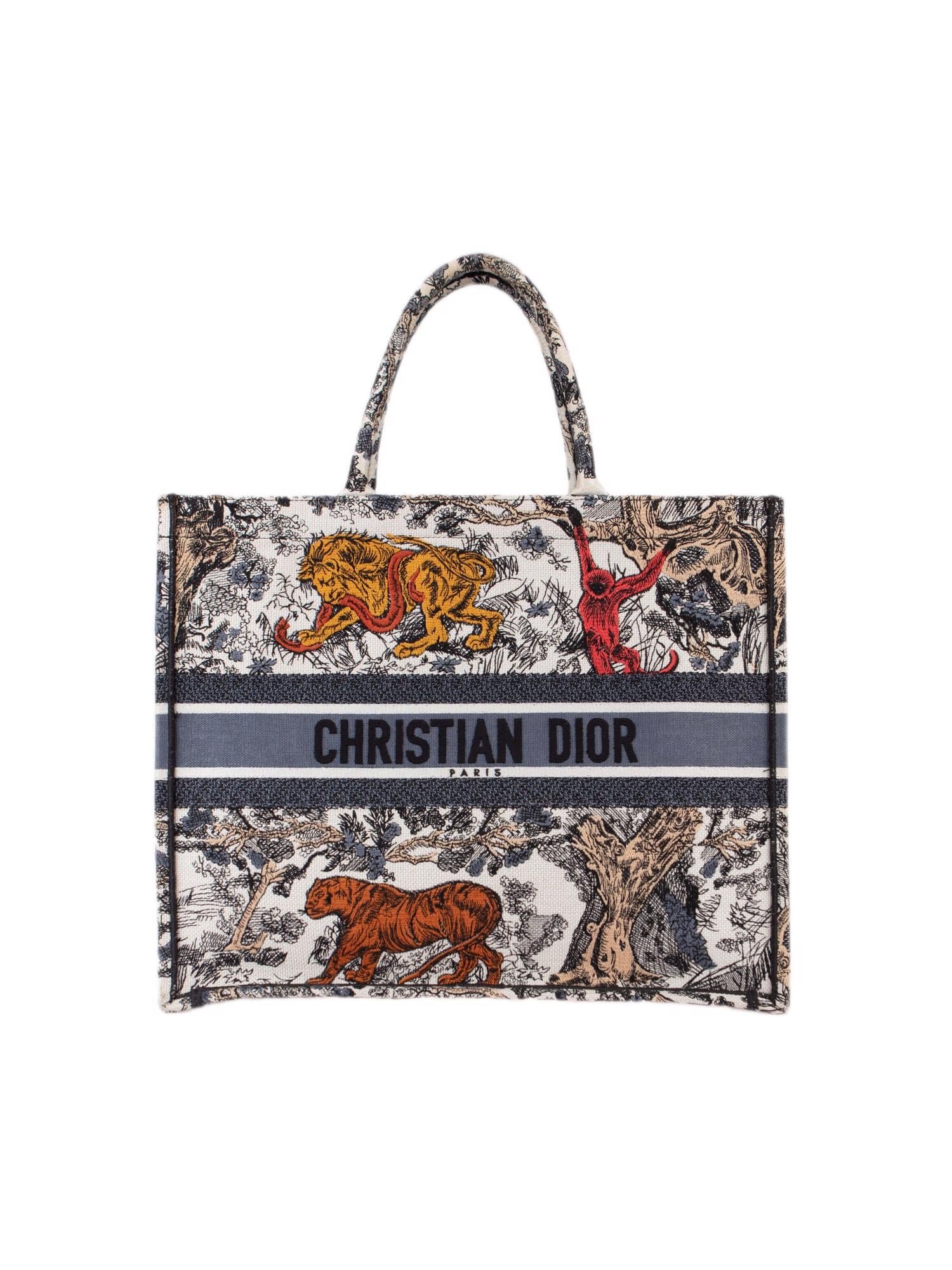 Bayan Çok Renkli DIOR ÇANTA
