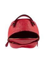 Bayan Kırmızı LOUIS VUITTON ÇANTA