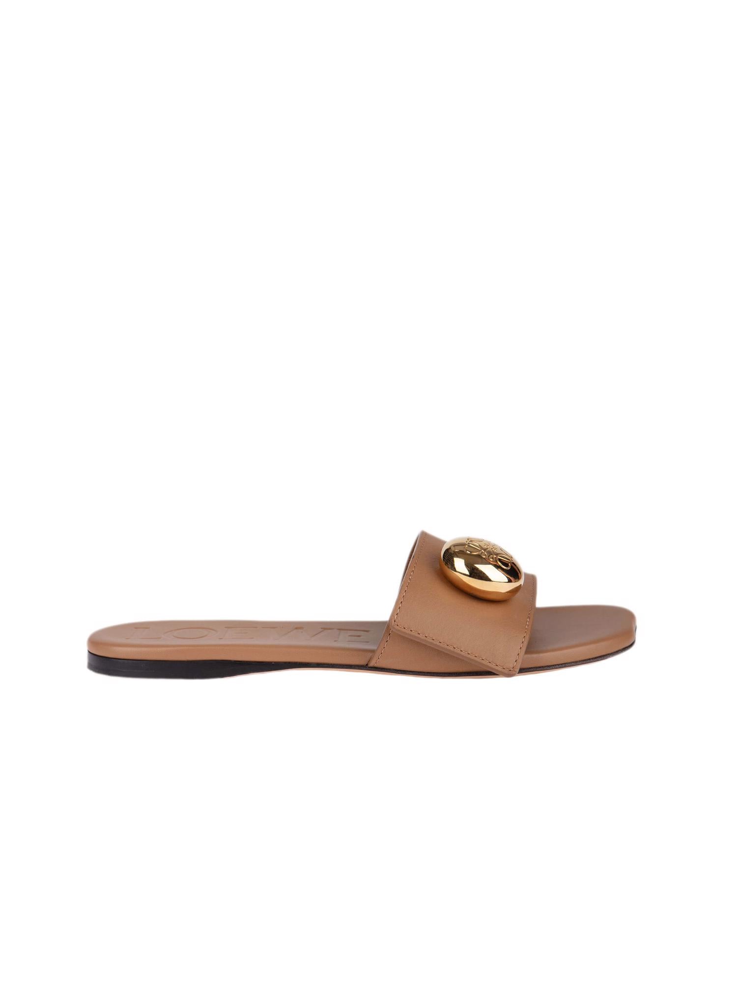 Bayan Kahve LOEWE TERLİK
