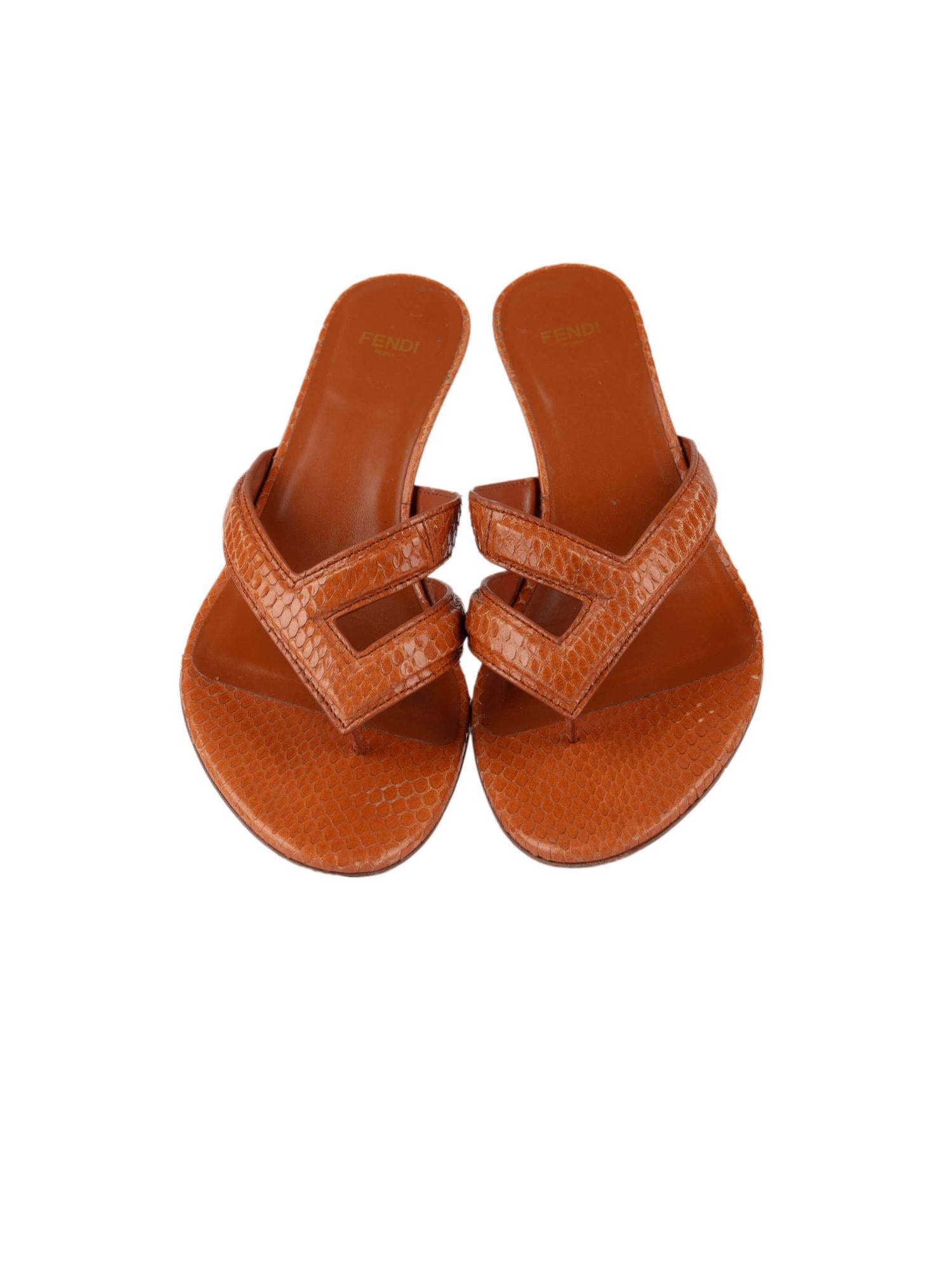Bayan Kahve FENDI TERLİK